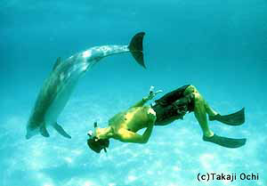 Swimmer and dolphin