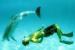 Two Dolphins