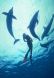 Exp�dition aux Bahamas