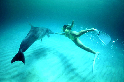 Swimmer and dolphin