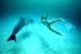 Swimmer and dolphin