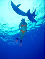 Photo of woman swimming with dolphins in Panama City Beach Florida