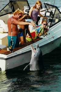 Dolphin swim tours Shell Island - Do not pet or feed!
