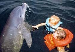 Intern helping child during dolphin therapy