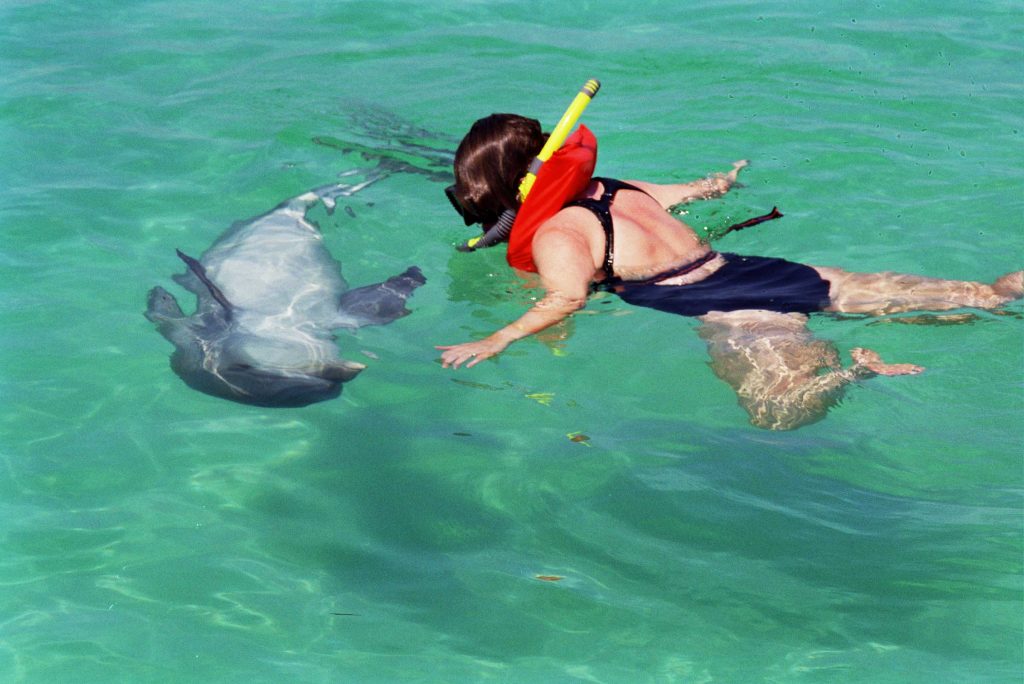 Woman interacting with a wild dolphin off Shell Island in Panama City Beach, FL.