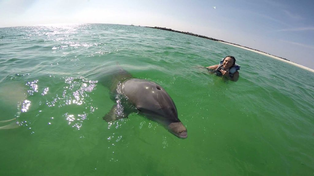 girl swimming with dolphin on top of water