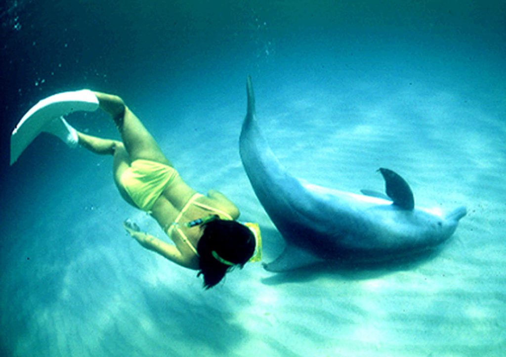 Mina with dolphin on sea floor