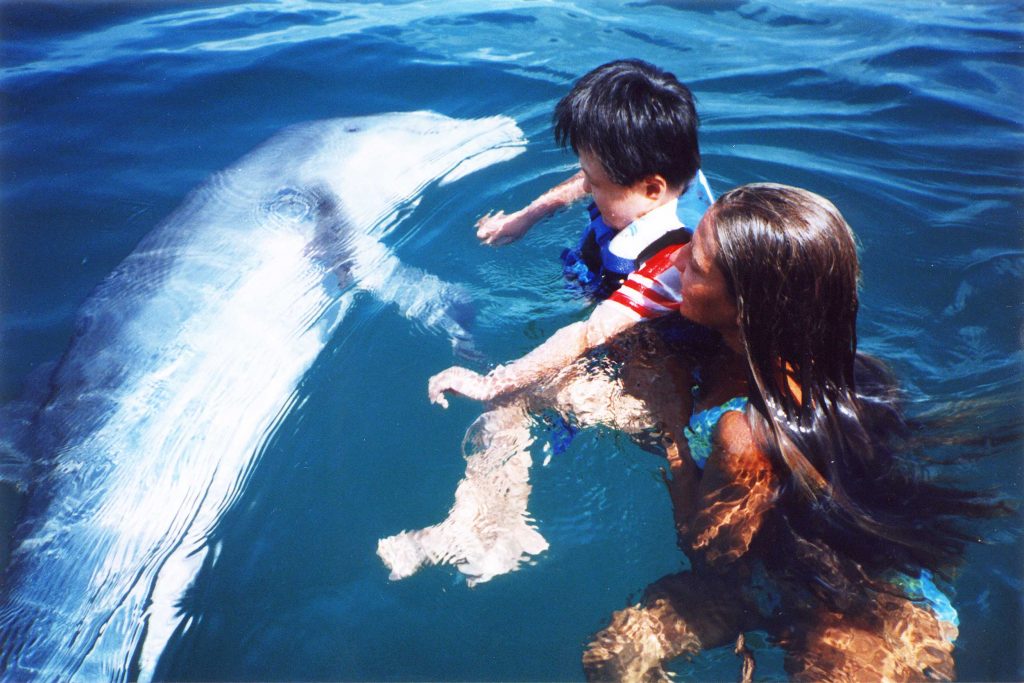 woman and child with dolphin in water for dolphin therapy