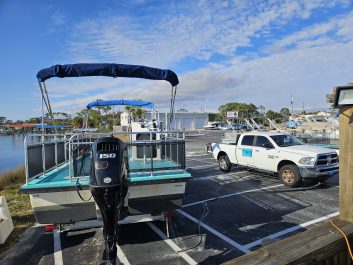 Another dolphin tour boat ready for you